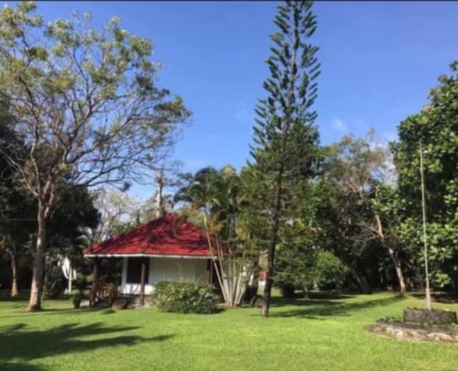 Subodinee Bungalow เวลิกามา ภายนอก รูปภาพ